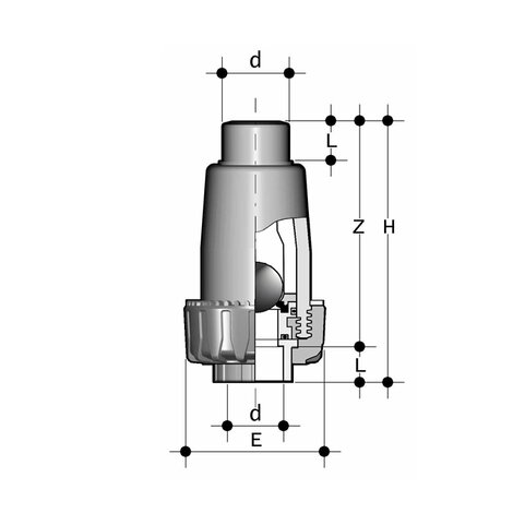 SRIM/SF - Ball check valve DN 15:50