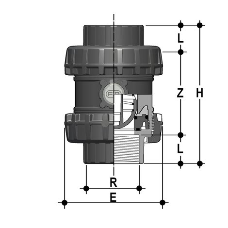 SSEFV/PTFE - Easyfit True Union ball and spring check valve DN 65:100