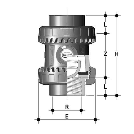 SSEGV/PTFE - Easyfit True Union ball and spring check valve DN 10:50