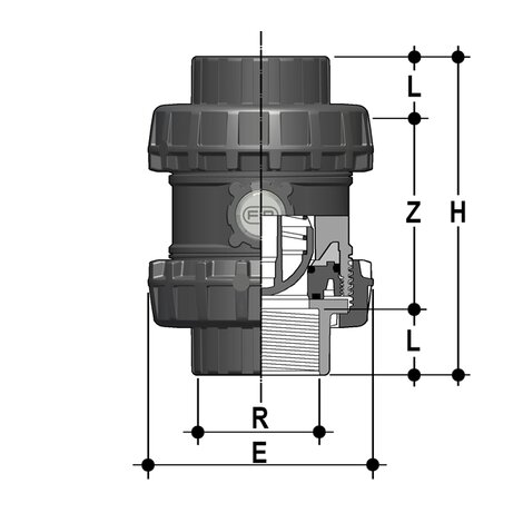 SSEFV/A316 - Easyfit True Union ball and spring check valve DN 65:100