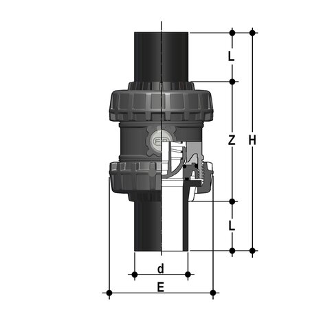 SSEBEV/A316 - Easyfit True Union ball and spring check valve DN 65:100