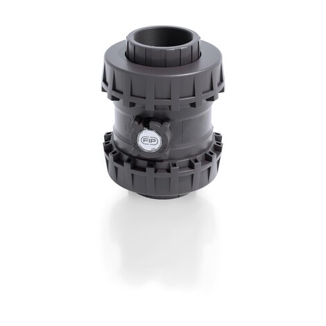 Render della valvola di ritegno bighiera Easyfit a molla SSEGV - DN 65:100